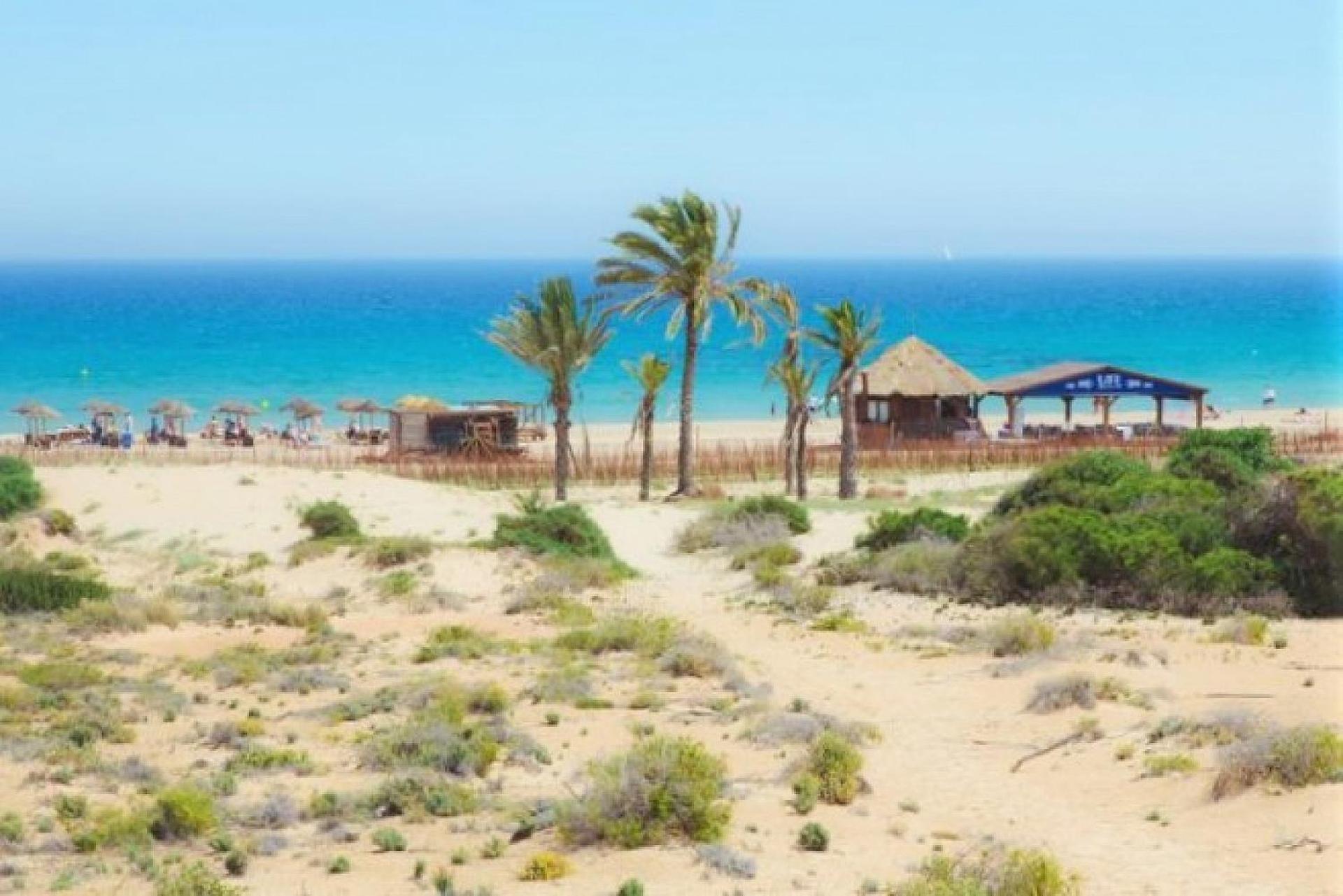 Mediterraneamente Soleado Santa Pola Exterior foto